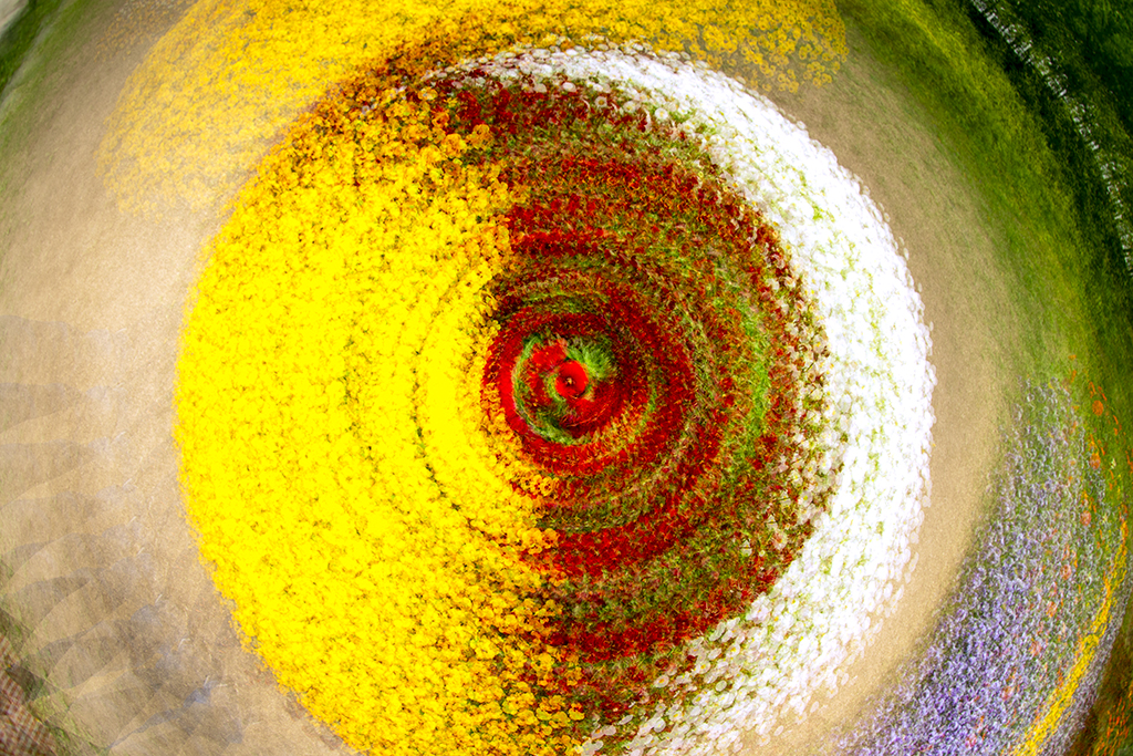 202305152304419d244a19b6a2743ac18078796339e8b7af39310c.jpg